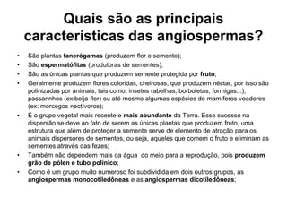 Quais são as principais características das angiospermas?São plantas fanerógamas (produzem flor e semente);São espermatófitas (produtoras de sementes);São as únicas plantas que produzem semente protegida por fruto;Geralmente produzem flores coloridas, cheirosas, que produzem néctar, por isso são polinizadas por animais, tais como, insetos (abelhas, borboletas, formigas...), passarinhos (ex:beija-flor) ou até mesmo algumas espécies de mamíferos voadores (ex: morcegos nectívoros); É o grupo vegetal mais recente e mais abundante da Terra. Esse sucesso na dispersão se deve ao fato de serem as únicas plantas que produzem fruto, uma estrutura que além de proteger a semente serve de elemento de atração para os animais dispersores de sementes, ou seja, aqueles que comem o fruto e eliminam as sementes através das fezes;Também não dependem mais da água  do meio para a reprodução, pois produzem grão de pólen e tubo polínico;Como é um grupo muito numeroso foi subdividida em dois outros grupos, as angiospermas monocotiledôneas e as angiospermas dicotiledôneas;