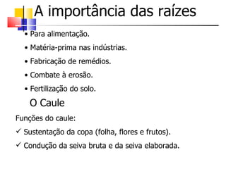 A importância das raízes
  • Para alimentação.
  • Matéria-prima nas indústrias.
  • Fabricação de remédios.
  • Combate à erosão.
  • Fertilização do solo.

    O Caule
Funções do caule:
 Sustentação da copa (folha, flores e frutos).
 Condução da seiva bruta e da seiva elaborada.
 