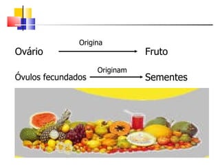 Origina
Ovário                         Fruto
                    Originam
Óvulos fecundados              Sementes
 