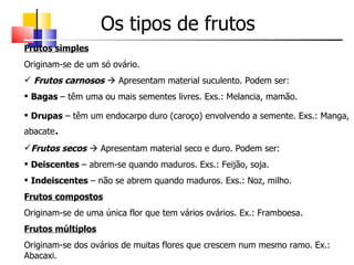 Os tipos de frutos
Frutos simples
Originam-se de um só ovário.
 Frutos carnosos  Apresentam material suculento. Podem ser:
 Bagas – têm uma ou mais sementes livres. Exs.: Melancia, mamão.

 Drupas – têm um endocarpo duro (caroço) envolvendo a semente. Exs.: Manga,
abacate.
Frutos secos  Apresentam material seco e duro. Podem ser:
 Deiscentes – abrem-se quando maduros. Exs.: Feijão, soja.
 Indeiscentes – não se abrem quando maduros. Exs.: Noz, milho.
Frutos compostos
Originam-se de uma única flor que tem vários ovários. Ex.: Framboesa.
Frutos múltiplos
Originam-se dos ovários de muitas flores que crescem num mesmo ramo. Ex.:
Abacaxi.
 