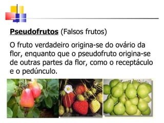 Pseudofrutos (Falsos frutos)
O fruto verdadeiro origina-se do ovário da
flor, enquanto que o pseudofruto origina-se
de outras partes da flor, como o receptáculo
e o pedúnculo.
 