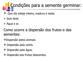 Condições para a semente germinar:
   Que ela esteja inteira, madura e sadia.
 Solo fértil.
 Água e ar.

Como ocorre a dispersão dos frutos e das
sementes:
Dispersão pelos animais.
 Dispersão pelo vento.
 Dispersão pela água.
 Dispersão dos frutos deiscentes.
 