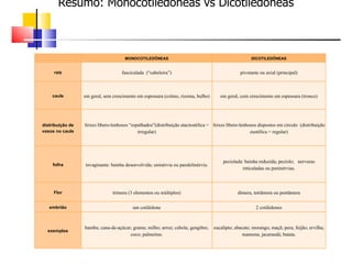 Resumo: Monocotiledôneas vs Dicotiledôneas



                                          MONOCOTILEDÔNEAS                                                  DICOTILEDÔNEAS


         raiz                            fasciculada  (“cabeleira”)                                   pivotante ou axial (principal)



        caule         em geral, sem crescimento em espessura (colmo, rizoma, bulbo)         em geral, com crescimento em espessura (tronco)




    distribuição de   feixes líbero-lenhosos “espalhados”(distribuição atactostélica =  feixes líbero-lenhosos dispostos em círculo  (distribuição 
    vasos no caule                               irregular)                                                eustélica = regular)




                                                                                             peciolada: bainha reduzida; pecíolo;   nervuras 
        folha         invaginante: bainha desenvolvida; uninérvia ou paralelinérvia.
                                                                                                       reticuladas ou peninérvias.



         Flor                       trímera (3 elementos ou múltiplos)                               dímera, tetrâmera ou pentâmera

       embrião                                um cotilédone                                                   2 cotilédones



                      bambu; cana-de-açúcar; grama; milho; arroz; cebola; gengibre;  eucalipto; abacate; morango; maçã; pera; feijão; ervilha; 
      exemplos
                                           coco; palmeiras.                                        mamona; jacarandá; batata.
 