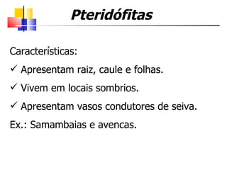 Pteridófitas

Características:
 Apresentam raiz, caule e folhas.
 Vivem em locais sombrios.
 Apresentam vasos condutores de seiva.
Ex.: Samambaias e avencas.
 