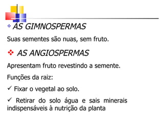    AS GIMNOSPERMAS
Suas sementes são nuas, sem fruto.

 AS ANGIOSPERMAS
Apresentam fruto revestindo a semente.
Funções da raiz:
 Fixar o vegetal ao solo.
 Retirar do solo água e sais minerais
indispensáveis à nutrição da planta
 
