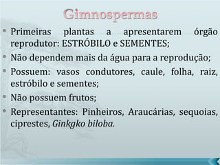    Primeiras plantas a apresentarem órgão
    reprodutor: ESTRÓBILO e SEMENTES;
   Não dependem mais da água para a reprodução;
   Possuem: vasos condutores, caule, folha, raiz,
    estróbilo e sementes;
   Não possuem frutos;
   Representantes: Pinheiros, Araucárias, sequoias,
    ciprestes, Ginkgko biloba.
 