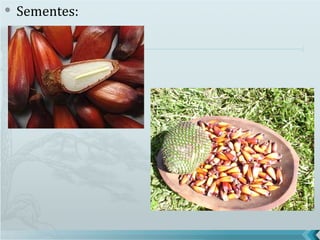    Sementes:
 
