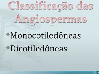 Monocotiledôneas
Dicotiledôneas
 