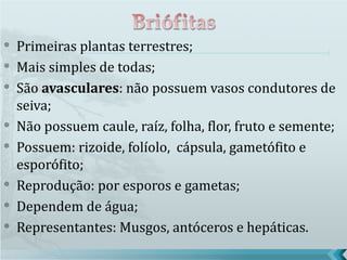    Primeiras plantas terrestres;
   Mais simples de todas;
   São avasculares: não possuem vasos condutores de
    seiva;
   Não possuem caule, raíz, folha, flor, fruto e semente;
   Possuem: rizoide, folíolo, cápsula, gametófito e
    esporófito;
   Reprodução: por esporos e gametas;
   Dependem de água;
   Representantes: Musgos, antóceros e hepáticas.
 