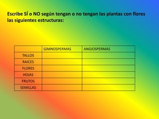 Escribe SÍ o NO según tengan o no tengan las plantas con flores
las siguientes estructuras:




                 GIMNOSPERMAS     ANGIOSPERMAS
       TALLOS
       RAICES
      FLORES
       HOJAS
      FRUTOS
      SEMILLAS
 