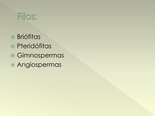 Briófitas 
 Pteridófitas 
 Gimnospermas 
 Angiospermas 
 