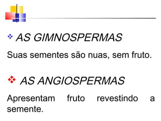  AS GIMNOSPERMAS
Suas sementes são nuas, sem fruto.
 AS ANGIOSPERMAS
Apresentam fruto revestindo a
semente.
 