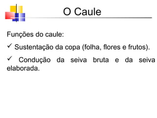 O Caule
Funções do caule:
 Sustentação da copa (folha, flores e frutos).
 Condução da seiva bruta e da seiva
elaborada.
 