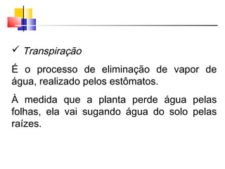  Transpiração
É o processo de eliminação de vapor de
água, realizado pelos estômatos.
À medida que a planta perde água pelas
folhas, ela vai sugando água do solo pelas
raízes.
 