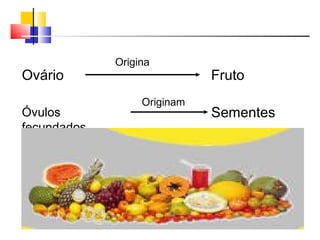 Ovário Fruto
Origina
Óvulos
fecundados
Originam
Sementes
 