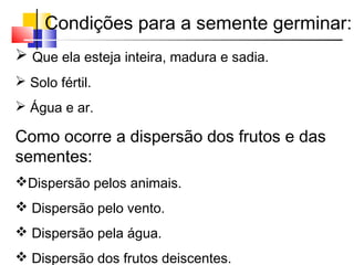  Que ela esteja inteira, madura e sadia.
 Solo fértil.
 Água e ar.
Como ocorre a dispersão dos frutos e das
sementes:
Dispersão pelos animais.
 Dispersão pelo vento.
 Dispersão pela água.
 Dispersão dos frutos deiscentes.
Condições para a semente germinar:
 