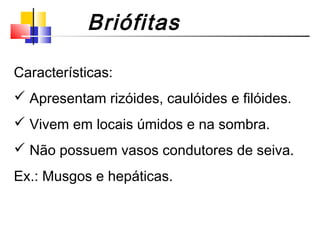 Características:
 Apresentam rizóides, caulóides e filóides.
 Vivem em locais úmidos e na sombra.
 Não possuem vasos condutores de seiva.
Ex.: Musgos e hepáticas.
Briófitas
 