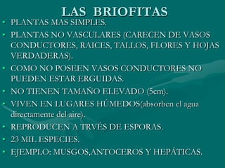 LAS BRIOFITAS
• PLANTAS MAS SIMPLES.
• PLANTAS NO VASCULARES (CARECEN DE VASOS
  CONDUCTORES, RAICES, TALLOS, FLORES Y HOJAS
  VERDADERAS).
• COMO NO POSEEN VASOS CONDUCTORES NO
  PUEDEN ESTAR ERGUIDAS.
• NO TIENEN TAMAÑO ELEVADO (5cm).
• VIVEN EN LUGARES HÚMEDOS(absorben el agua
  directamente del aire).
• REPRODUCEN A TRVÉS DE ESPORAS.
• 23 MIL ESPECIES.
• EJEMPLO: MUSGOS,ANTOCEROS Y HEPÁTICAS.
 