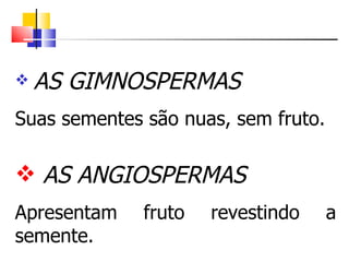 AS GIMNOSPERMAS Suas sementes são nuas, sem fruto. AS ANGIOSPERMAS Apresentam fruto revestindo a semente. 