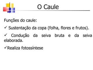 O Caule Funções do caule: Sustentação da copa (folha, flores e frutos). Condução da seiva bruta e da seiva elaborada. Realiza fotossíntese 