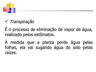 Transpiração É o processo de eliminação de vapor de água, realizado pelos estômatos. À medida que a planta perde água pelas folhas, ela vai sugando água do solo pelas raízes. 