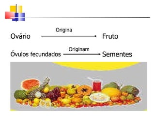 Ovário Fruto Origina Óvulos fecundados Originam Sementes 