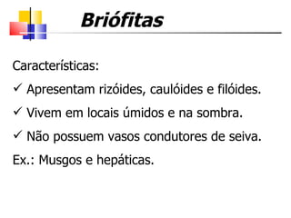 Características: Apresentam rizóides, caulóides e filóides. Vivem em locais úmidos e na sombra. Não possuem vasos condutores de seiva. Ex.: Musgos e hepáticas. Briófitas 