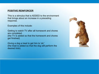 POSITIVE REINFORCER

This is a stimulus that is ADDED to the environment
that brings about an increase in a preceding
response.

Examples of this include:

Getting to watch TV after all homework and chores
are completed.
(the TV is added so that the homework and chores
get finished)

Giving a dog a treat to get him to 'sit.'
(the treat is added so that the dog will perform the
desired trick)
 
