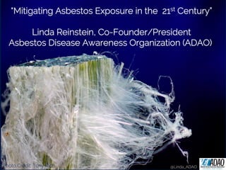 “Mitigating Asbestos Exposure in the 21st Century”
Linda Reinstein, Co-Founder/President
Asbestos Disease Awareness Organization (ADAO))
Photo Credit: Tony Rich @Linda_ADAO
 