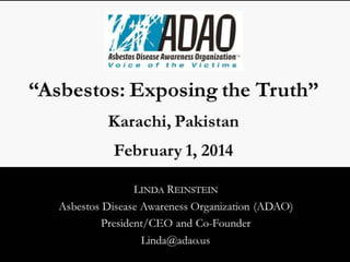 Linda Reinstein, Ban Asbestos Conference, Pakistan (2014)