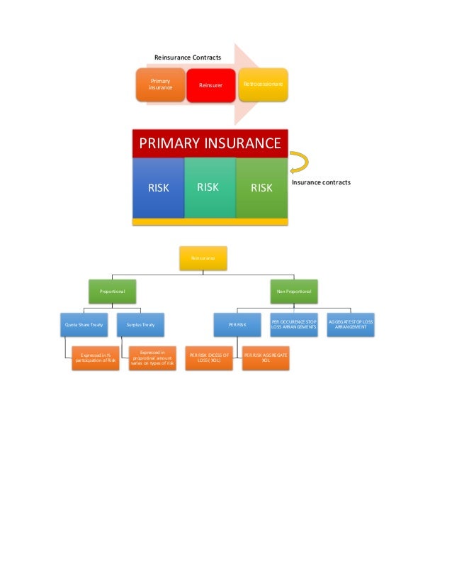 Reinsurance Infographic