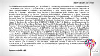 ¡REINVENTÁDONOS!
1
»Si Obedeces Completamente La Voz Del SEÑOR Tu DIOS Al Seguir Fielmente Todos Sus Mandamientos
Que Te Mando Hoy, Entonces El SEÑOR Tu DIOS Te Hará La Nación Más Importante De Todas. 2
Gozarás De
Todas Estas Bendiciones Si Obedeces La Voz Del SEÑOR Tu DIOS: 3
»Serás Bendito En La Ciudad Y Serás
Bendito En El Campo. 4
»Tus Hijos Serán Benditos Y Tus Cosechas Serán Benditas, Las Crías De Tus
Animales Serán Benditas Y Tus Terneros Y Corderos Serán Benditos. 5
»Tu Canasta Y Tu Tazón De Amasar
Serán Benditos. 6
»El SEÑOR Te Bendecirá En Todo Tiempo Y En Toda Actividad. 7
»El SEÑOR Te Permitirá
Derrotar A Todos Tus Enemigos Cuando Te Ataquen. Ellos Irán Contra Ti En Una Dirección, Pero Huirán De Ti
En Siete Direcciones Diferentes. 8
»El SEÑOR Te Bendecirá Con Graneros Llenos Y Bendecirá Todo Lo Que
Hagas. Te Bendecirá En La Tierra Que El SEÑOR Tu DIOS Te Da. 9
Si Obedeces Los Mandamientos Del
SEÑOR Tu DIOS Y Si Vives Como ÉL Quiere Que Vivas, ÉL Te Convertirá En Su Pueblo Santo, Como Te Lo
Prometió. 10
Entonces Todas Las Naciones De La Tierra Verán Que Tú Eres El Pueblo Del SEÑOR Y Que ÉL
Es Tu Protector, Y Te Tendrán Miedo. 11
»El SEÑOR Te Hará Extremadamente Próspero Y Te Dará Muchos
Hijos, Tus Animales Tendrán Muchas Crías Y Tú Tendrás Muchas Cosechas En La Tierra Que El SEÑOR Les
Prometió A Tus Antepasados Que Te Daría. 12
El SEÑOR Te Abrirá Sus Riquezas Y El Cielo Para Enviarle
Lluvia A Tu Tierra En El Momento Preciso, Y Bendecirá Todo Lo Que Hagas. Tendrás Dinero Para Prestarles A
Muchas Naciones Pero Tú No Pedirás Prestado. 13
El SEÑOR Te Hará Ir A La Cabeza, No Al Final; Siempre
Estarás En La Cima Y No En El Fondo. Esto Sucederá Si Tú Escuchas Los Mandamientos Que El SEÑOR Tu
DIOS Te Manda Hoy Y Los Obedeces Cuidadosamente. 14
Serás Bendito Si Sigues Sin Apartarte De Ninguna
De Las Palabras Que Te Ordeno, Ni Vas Tras Otros Dioses Para Servirles. 15
Pero Si Tú No Obedeces Al
SEÑOR Tu DIOS Ni Sigues Fielmente Todos Sus Mandamientos Y Leyes Que Hoy Te Mando, Entonces Todas
Estas Maldiciones Vendrán Sobre Ti.
Deuteronomio 28:1-15.
 