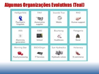 Algumas Organizações Evolutivas (Teal)
 
