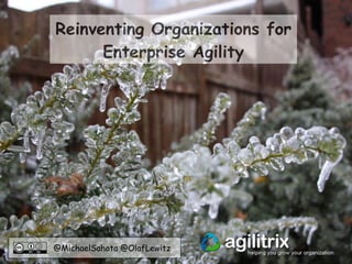 @MichaelSahota @OlafLewitz
Reinventing Organizations for
Enterprise Agility
 