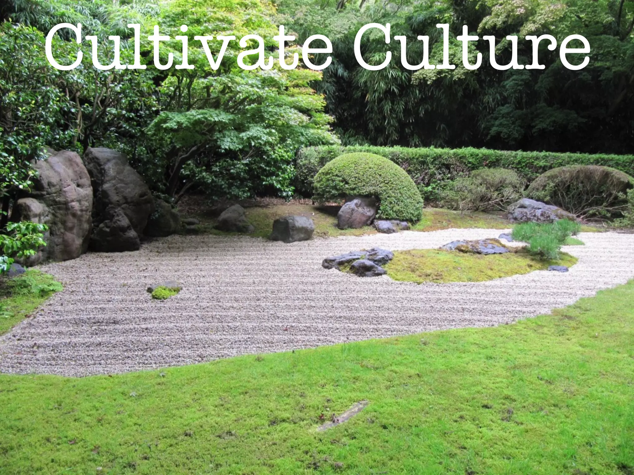 Cultivate Culture
 