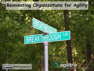 @MichaelSahota
Reinventing Organizations for Agility
 