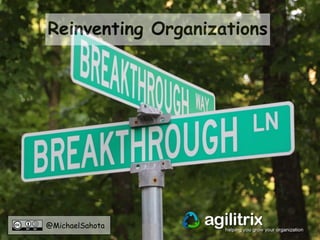@MichaelSahota
Reinventing Organizations
 