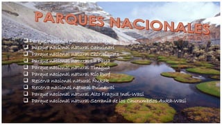  Parque nacional natural Amacayacu
 Parque nacional natural Cahuinarí
 Parque nacional natural Chiribiquete
 Parque nacional natural La Paya
 Parque nacional natural Tinigua
 Parque nacional natural Río Puré
 Reserva nacional natural Nukak
 Reserva nacional natural Puinawai
 Parque nacional natural Alto Fragua Indi-Wasi
 Parque nacional natural Serranía de los Churumbelos Auka-Wasi

 