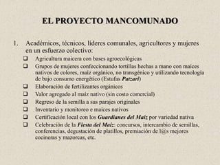 EL PROYECTO MANCOMUNADO
1. Académicos, técnicos, líderes comunales, agricultores y mujeres
en un esfuerzo colectivo:
 Agricultura maicera con bases agroecológicas
 Grupos de mujeres confeccionando tortillas hechas a mano con maíces
nativos de colores, maíz orgánico, no transgénico y utilizando tecnología
de bajo consumo energético (Estufas Patzari)
 Elaboración de fertilizantes orgánicos
 Valor agregado al maíz nativo (sin costo comercial)
 Regreso de la semilla a sus parajes originales
 Inventario y monitoreo e maíces nativos
 Certificación local con los Guardianes del Maíz por variedad nativa
 Celebración de la Fiesta del Maíz: concursos, intercambio de semillas,
conferencias, degustación de platillos, premiación de l@s mejores
cocineras y mazorcas, etc.
 