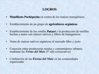LOGROS
• Manifiesto Purhépecha en contra de los maíces transgénicos
• Establecimiento de un grupo de agricultores orgánicos
• Establecimiento de las estufas Patzari y la producción de tortillas
hechas a mano con maíces nativos y libres de transgénicos
• Venta de maíces nativos orgánicos al mercado libre y justo
• Conexión entre productores rurales y consumidores urbanos
mediante las Ferias del Maíz (5º año consecutivo)
• Celebración de las Fiestas del Maíz en las comunidades
organizadas
 
