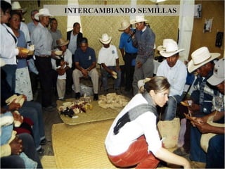 INTERCAMBIANDO SEMILLAS
 