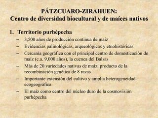 PÁTZCUARO-ZIRAHUEN:
Centro de diversidad biocultural y de maíces nativos
1. Territorio purhépecha
– 3,500 años de producción continua de maíz
– Evidencias palinológicas, arqueológicas y etnohistóricas
– Cercanía geográfica con el principal centro de domesticación de
maíz (c.a. 9,000 años), la cuenca del Balsas
– Más de 20 variedades nativas de maíz producto de la
recombinación genética de 8 razas
– Importante extensión del cultivo y amplia heterogeneidad
ecogeográfica
– El maíz como centro del núcleo duro de la cosmovisión
purhépecha
 