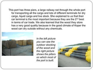This port has three piers, a large railway net through the whole port
for transporting all the cargo and lots of different terminals for dry
cargo, liquid cargo and live stock. She explained to us that their
car terminal is the most important because they are the 2nd best
in terms of car trade. We also learned that the wood they store
has a very good quality because in the good climate of Koper the
wood can dry outside without any chemicals.

In the left picture
you can see the
outdoor stocking
of the wood and
the right picture
shows the pillars
on which most of
the port is built.

 