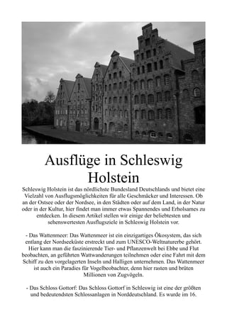 Ausflüge in Schleswig
Holstein
Schleswig Holstein ist das nördlichste Bundesland Deutschlands und bietet eine
Vielzahl von Ausflugsmöglichkeiten für alle Geschmäcker und Interessen. Ob
an der Ostsee oder der Nordsee, in den Städten oder auf dem Land, in der Natur
oder in der Kultur, hier findet man immer etwas Spannendes und Erholsames zu
entdecken. In diesem Artikel stellen wir einige der beliebtesten und
sehenswertesten Ausflugsziele in Schleswig Holstein vor.
- Das Wattenmeer: Das Wattenmeer ist ein einzigartiges Ökosystem, das sich
entlang der Nordseeküste erstreckt und zum UNESCO-Weltnaturerbe gehört.
Hier kann man die faszinierende Tier- und Pflanzenwelt bei Ebbe und Flut
beobachten, an geführten Wattwanderungen teilnehmen oder eine Fahrt mit dem
Schiff zu den vorgelagerten Inseln und Halligen unternehmen. Das Wattenmeer
ist auch ein Paradies für Vogelbeobachter, denn hier rasten und brüten
Millionen von Zugvögeln.
- Das Schloss Gottorf: Das Schloss Gottorf in Schleswig ist eine der größten
und bedeutendsten Schlossanlagen in Norddeutschland. Es wurde im 16.
 