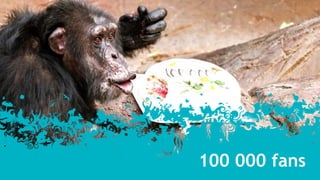 En page eller en twitter-konto hjelper ikke på forsinkede tog, men det kan kanskje endre et eksisterende inntrykk av at man ikke bryr seg?Bildet viser de mest brukte ordene i twittermeldinger og blogginnlegg som omhandler NSB og togtrafikk. Ordet ”NSB” samt en rekke småord er utelatt. Grafikken er generert ved hjelp av wordle.net