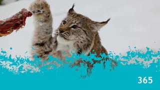 Det dreier seg om å lytte og læreKunden ønsker å bli sett og hørtVi ønsker å bli bedre og lærer av tilbakemeldingene vi får av kundene våre