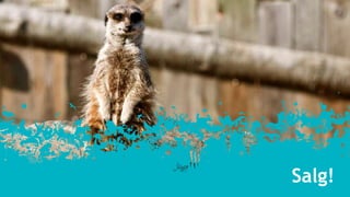 Roger Lian, Dyreparken