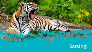 Storkundebase = kunnskap