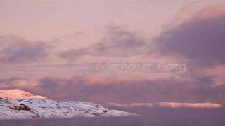 Vision and values platformVisionReal experiences in unique waters AmbitionThe best way to experience the destinationBrand essenceAuthenticBrand promisesHurtigruten promises youReal experiences in unique waters