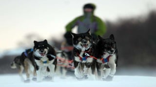  Security under tough conditions